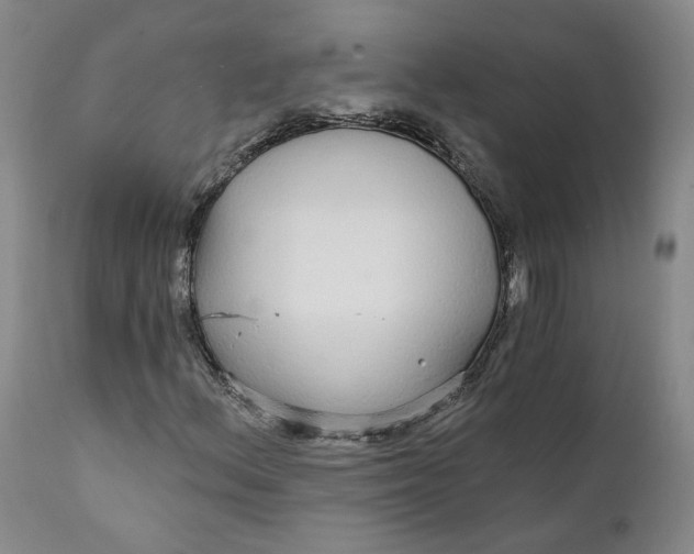 X0000112431156200909041429