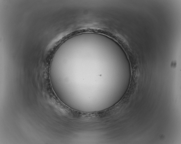 X0000112431159200909041429