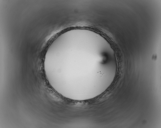 X0000112431160200909041429