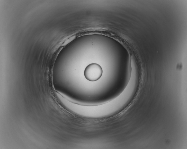 X0000112431161200909041429