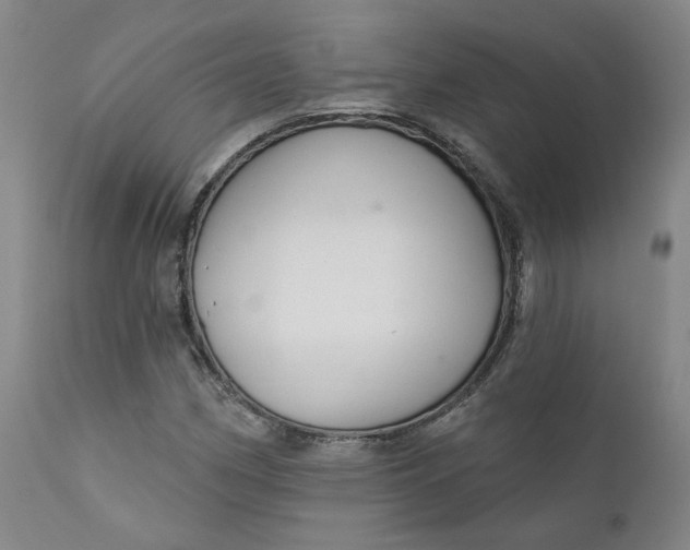 X0000112431162200909041429