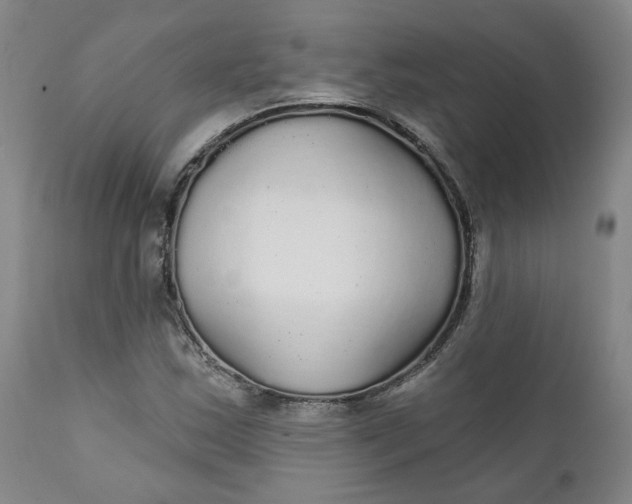 X0000112431163200909041429