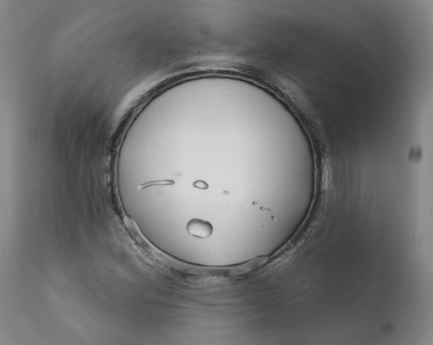 X0000112431164200909041429