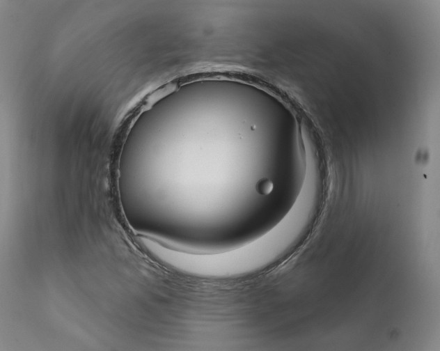 X0000112431165200909041429