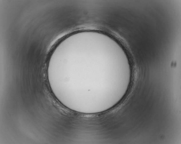 X0000112431166200909041429