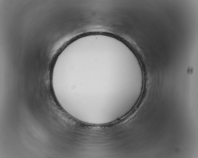 X0000112431167200909041429