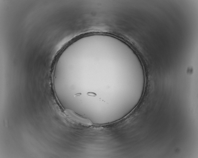 X0000112431168200909041429