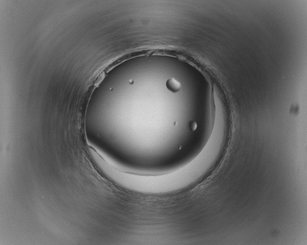 X0000112431169200909041429