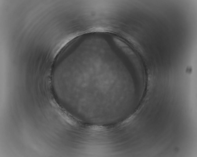 X0000112431170200909041429