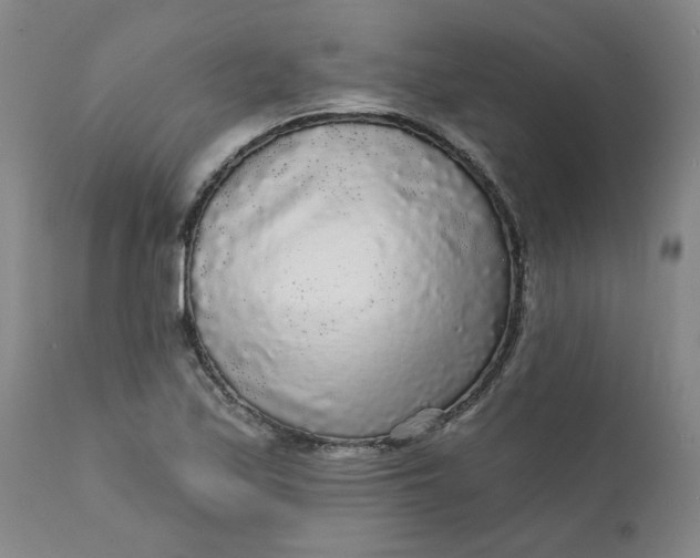 X0000112431171200909041429