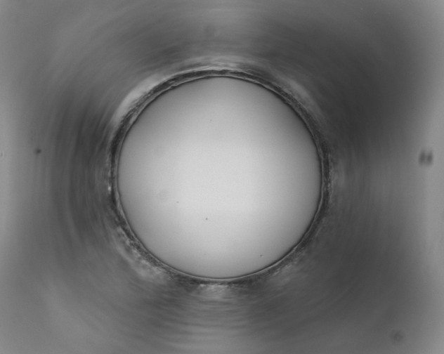 X0000112431172200909041429