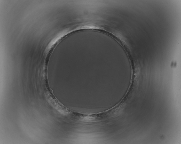 X0000112431173200909041429