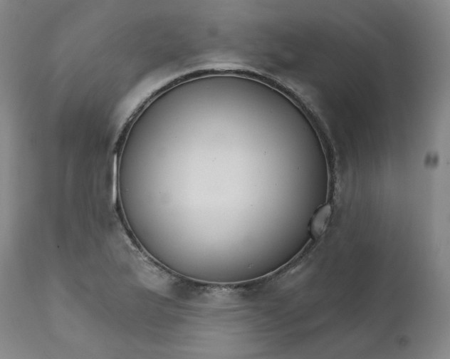 X0000112431175200909041429