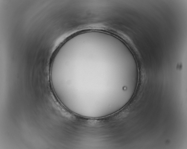 X0000112431176200909041429