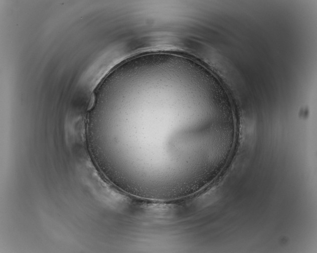 X0000112431177200909041429