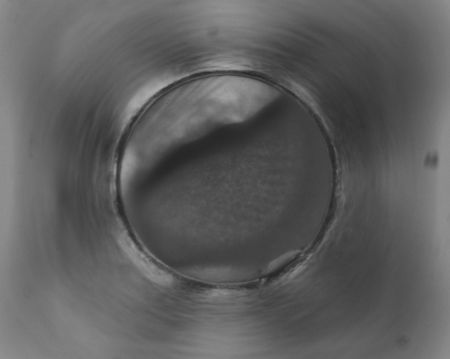 X0000112431179200909041429