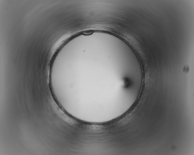 X0000112431180200909041429