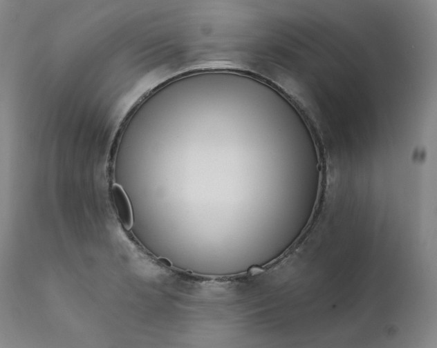 X0000112431181200909041429