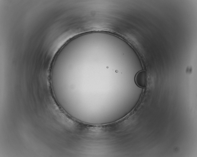 X0000112431182200909041429