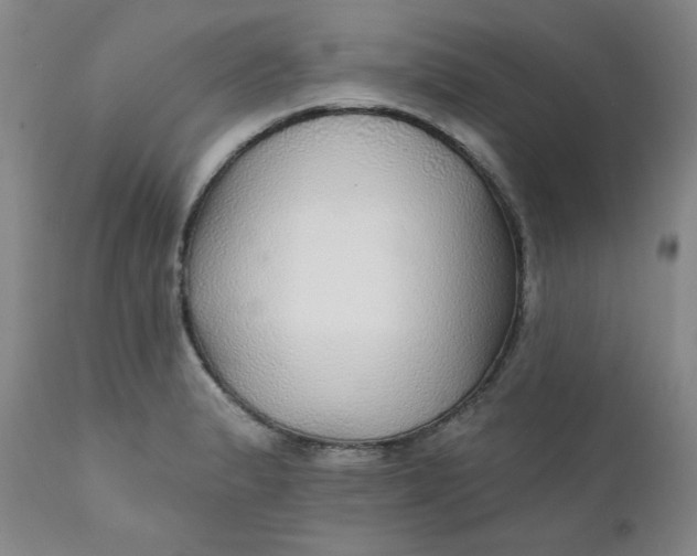 X0000112431183200909041429