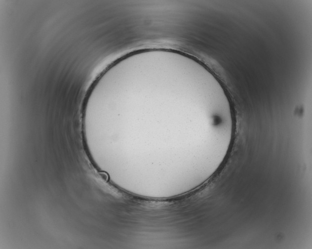 X0000112431184200909041429