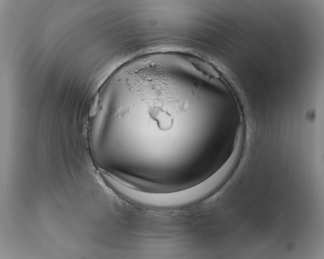 X0000112431185200909041429