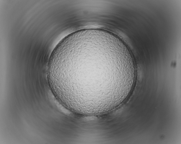 X0000112431186200909041429