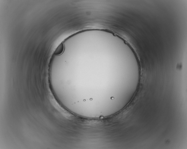 X0000112431187200909041429