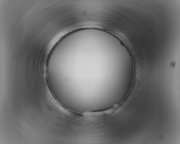 X0000112431188200909041429