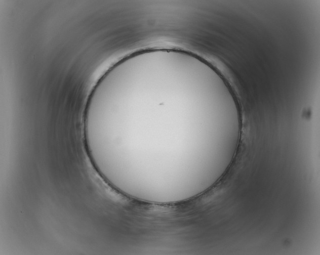 X0000112431191200909041429