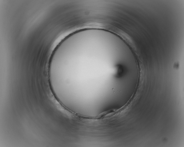 X0000112431192200909041429