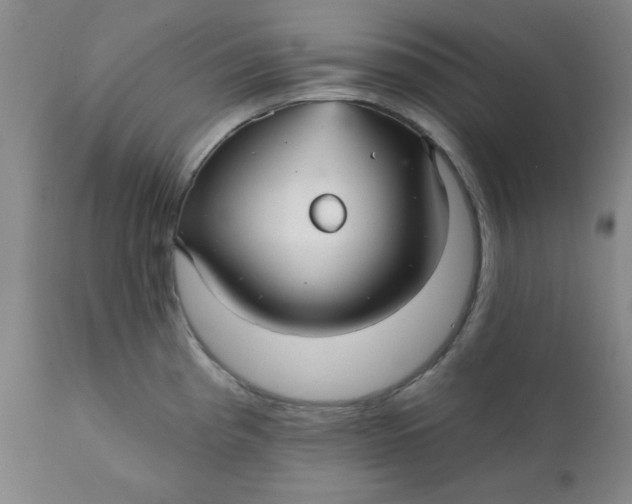 X0000112431193200909041429