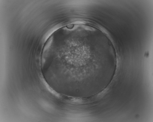 X0000112431194200909041429