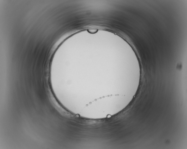 X0000112431195200909041429