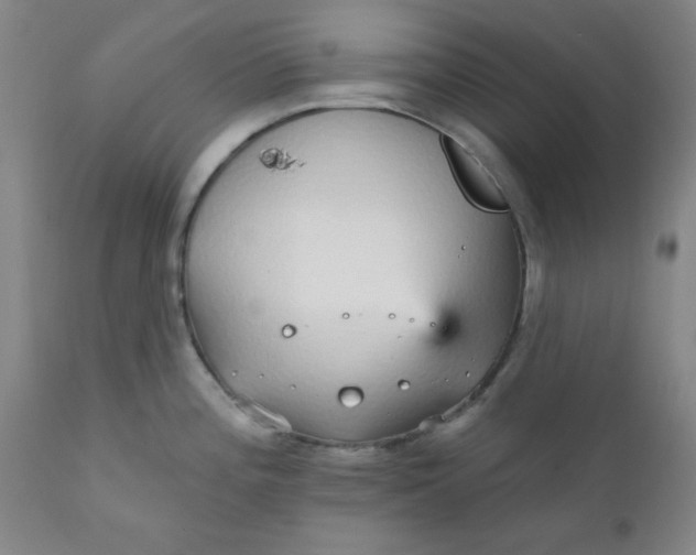 X0000112431196200909041429