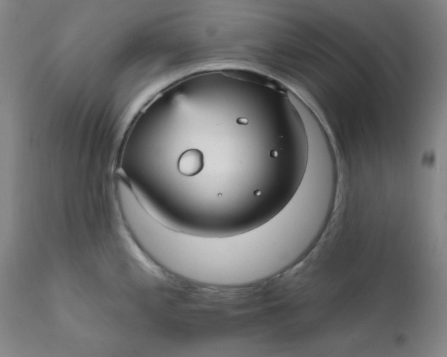 X0000112431197200909041429