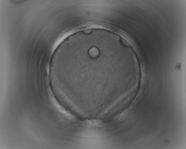 X0000112431198200909041429