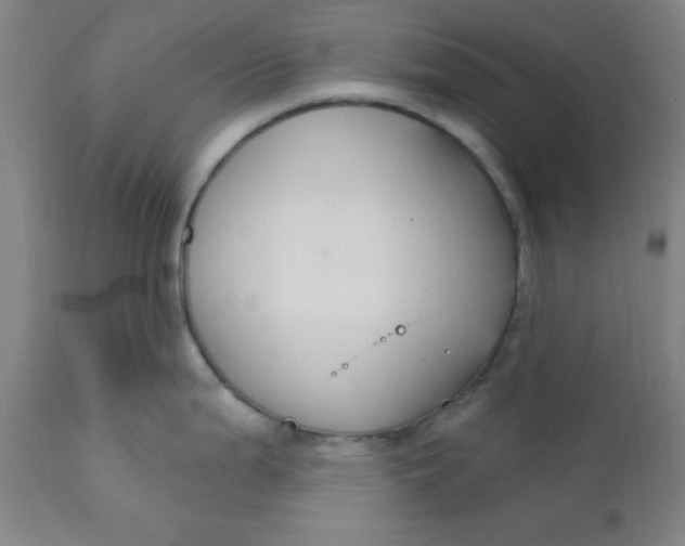 X0000112431199200909041429