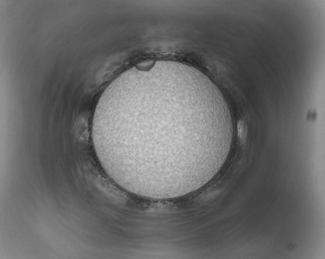 X0000112431203200909041428