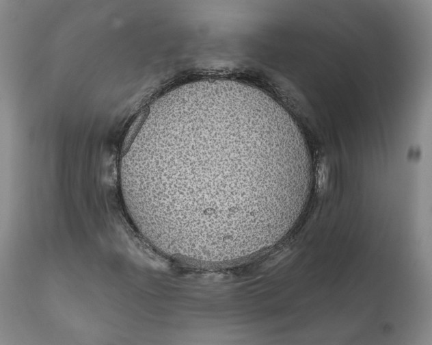 X0000112431204200909041428