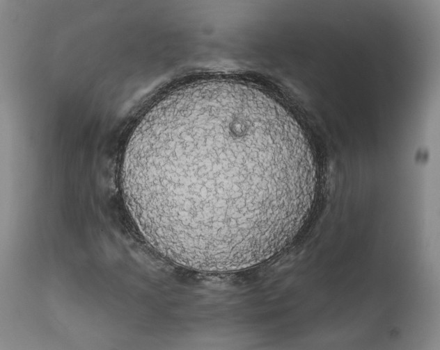 X0000112431205200909041428