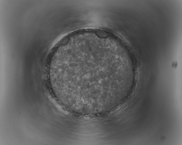 X0000112431208200909041428