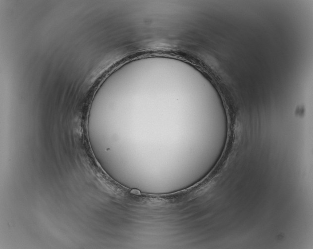 X0000112431209200909041428