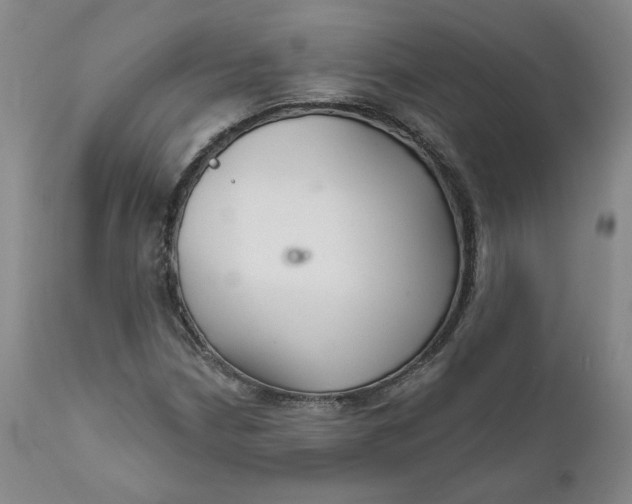 X0000112431210200909041428