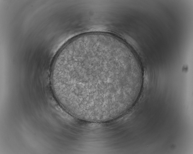 X0000112431212200909041428