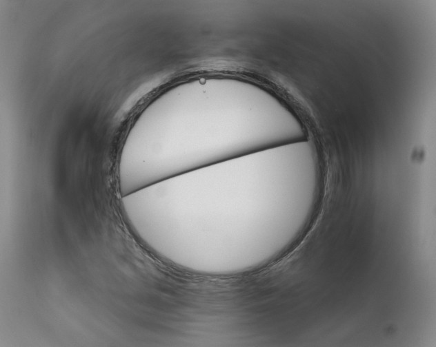 X0000112431213200909041428