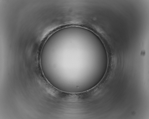 X0000112431214200909041428