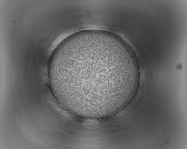 X0000112431215200909041428