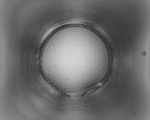 X0000112431216200909041428