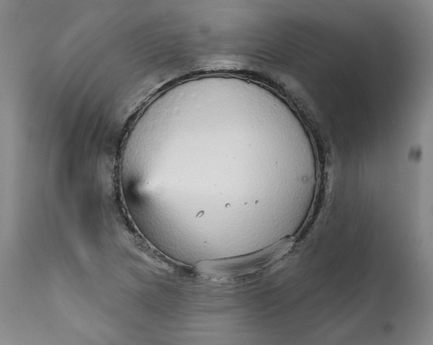 X0000112431217200909041428